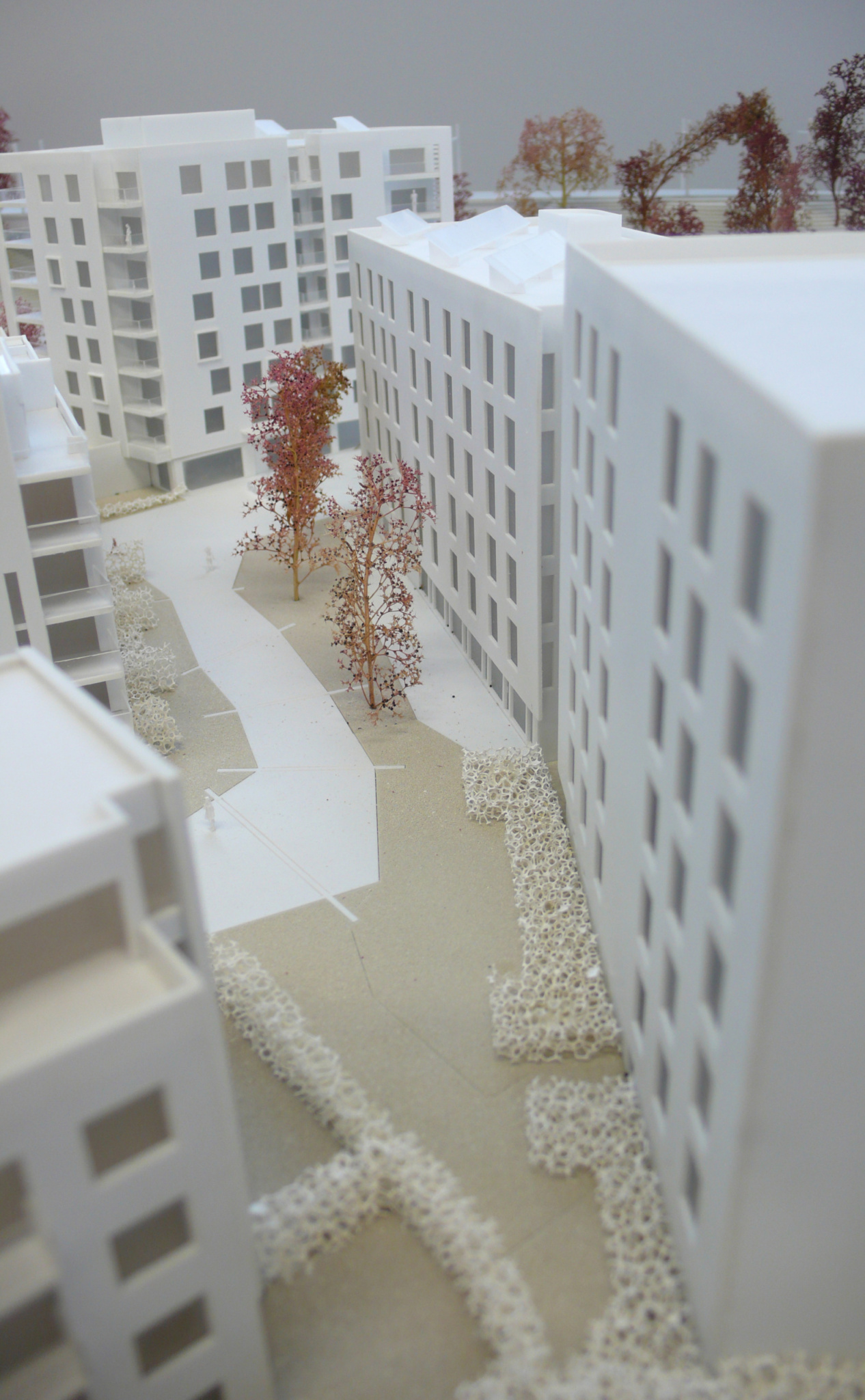 GVA GRIMLEY make plus